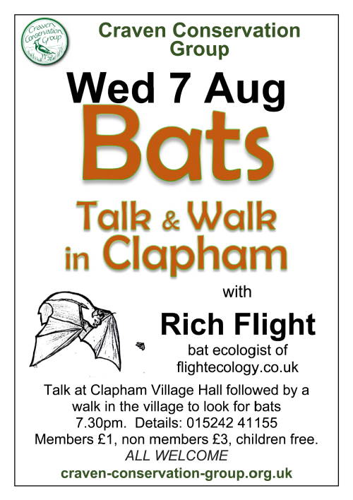 poster for bat walk and talk