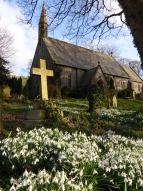 snowdrops-at-langcliffe